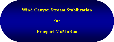 Rounded Rectangle: Wind Canyon Stream StabilizationForFreeport McMoRan