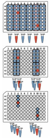 Grouped Testing Theory