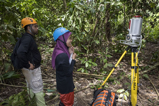 Ground LiDAR in jungle