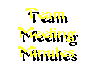 Team Meeting Minutes