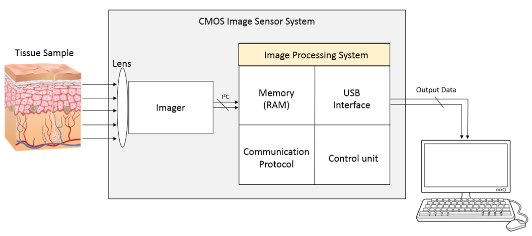 System Depiction