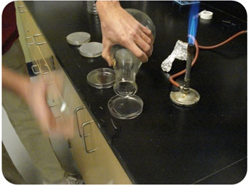 Filling Petri dishes