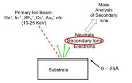 SIMS diagram.JPG