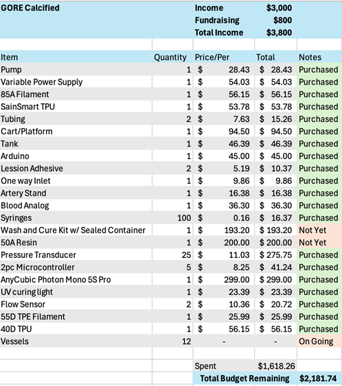 Calcified vessel model capstone project budget sheet