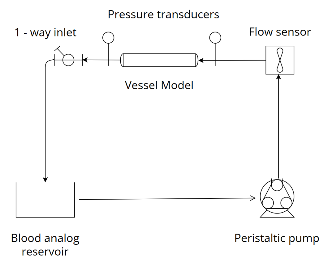 Flow diagram of the calcified vessel model final product